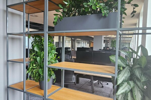 forestdesign-irodabutor9